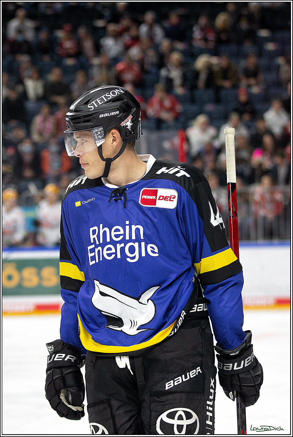 PENNY DEL; Koelner Haie- Fishtown Pinguins Bremerhaven; Koeln, 23.11.2021